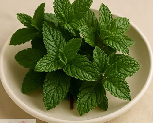 طرز تهیه نعنا داغ مجلسی در خانه