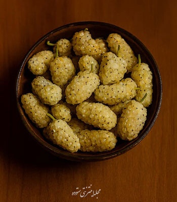 طرز تهیه توت خشک خانگی بدون خراب شدن و با ماندگاری بالا