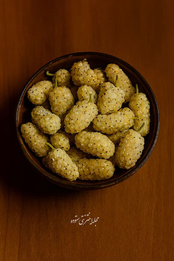 طرز تهیه توت خشک خانگی بدون خراب شدن و با ماندگاری بالا