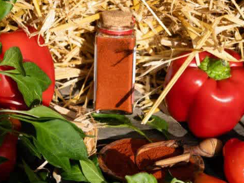 طرز تهیه پودر پاپریکا در خانه با فلفل دلمه‌ای