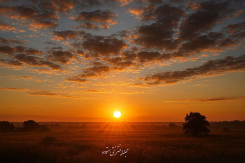 قدمی کوچک، تغییری بزرگ: ۲۰ جمله برای آغاز مسیر