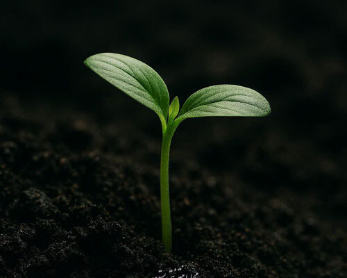 ۲۰ جمله انگیزشی برای ادامه دادن و کم نیاوردن