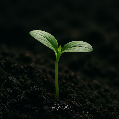 ۲۰ جمله انگیزشی برای ادامه دادن و کم نیاوردن