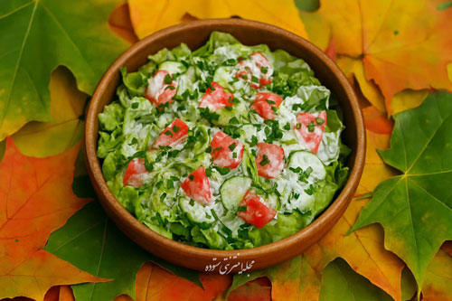 سالاد خیار و گوجه با سس ماست