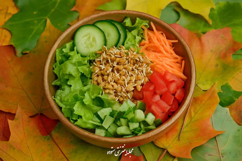 سالاد جوانه گندم