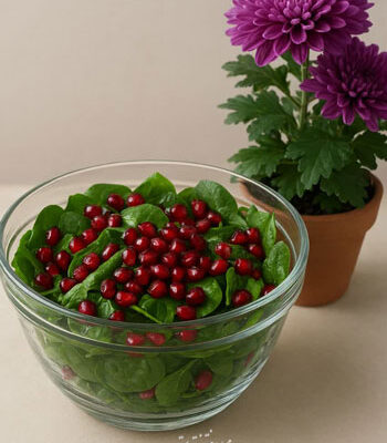 سالاد اسفناج و انار