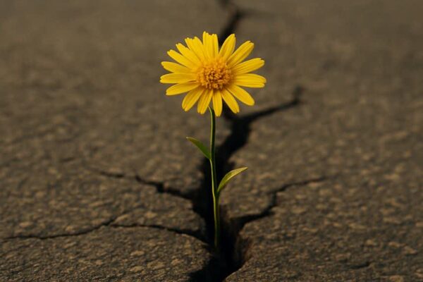 امید به آینده ای بهتر